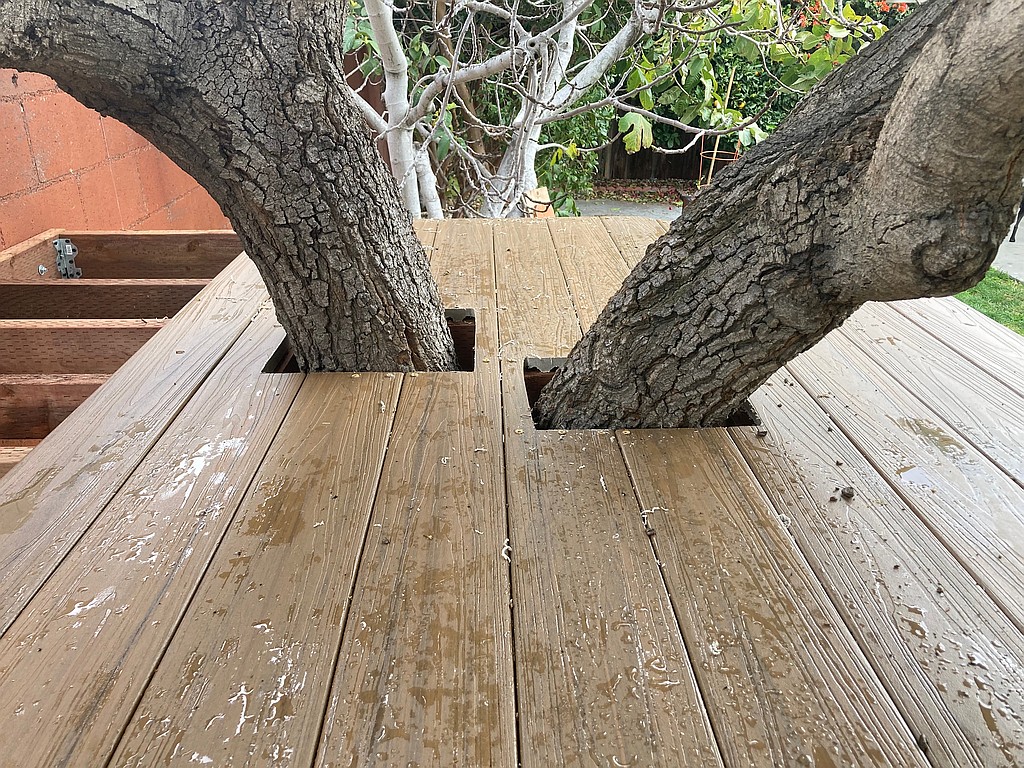 Floorboards added to the the treehouse